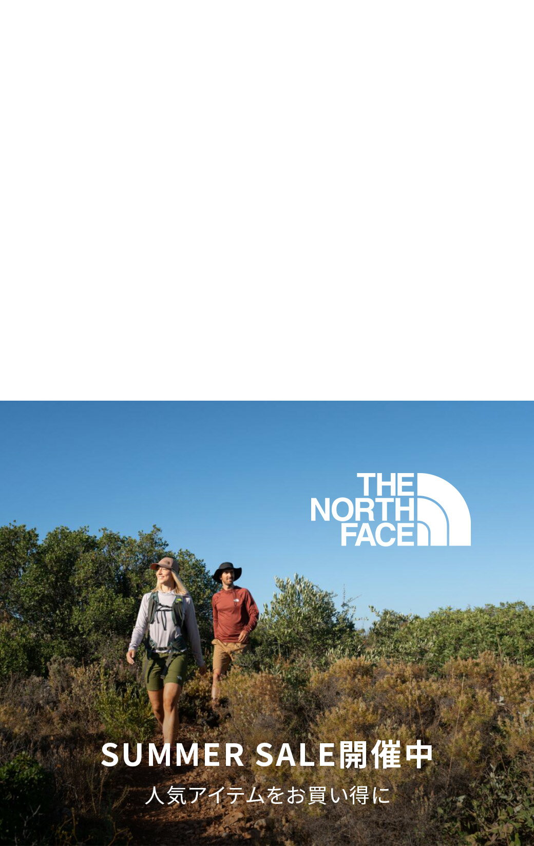 THE NORTH FACE