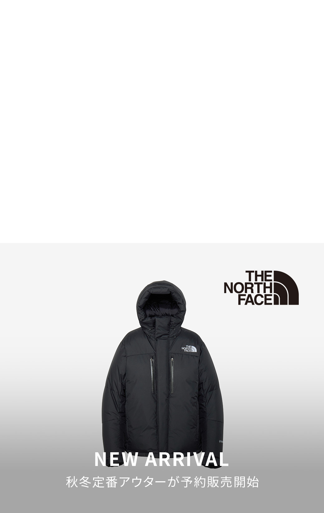 THE NORTH FACE