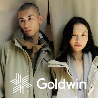 Goldwin