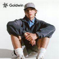 Goldwin