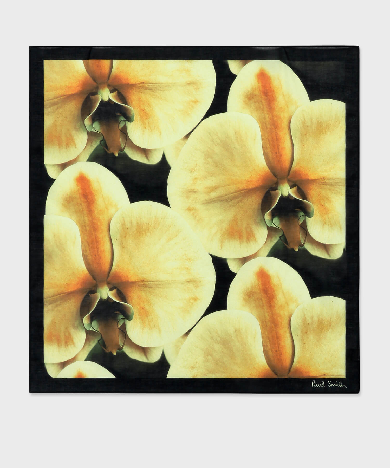 【by R 限定品】Paul Smith "Orchid" ハンカチ