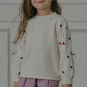 カットソー・Tシャツ