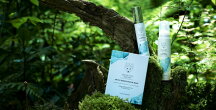 SNOW FOX SKINCARE
